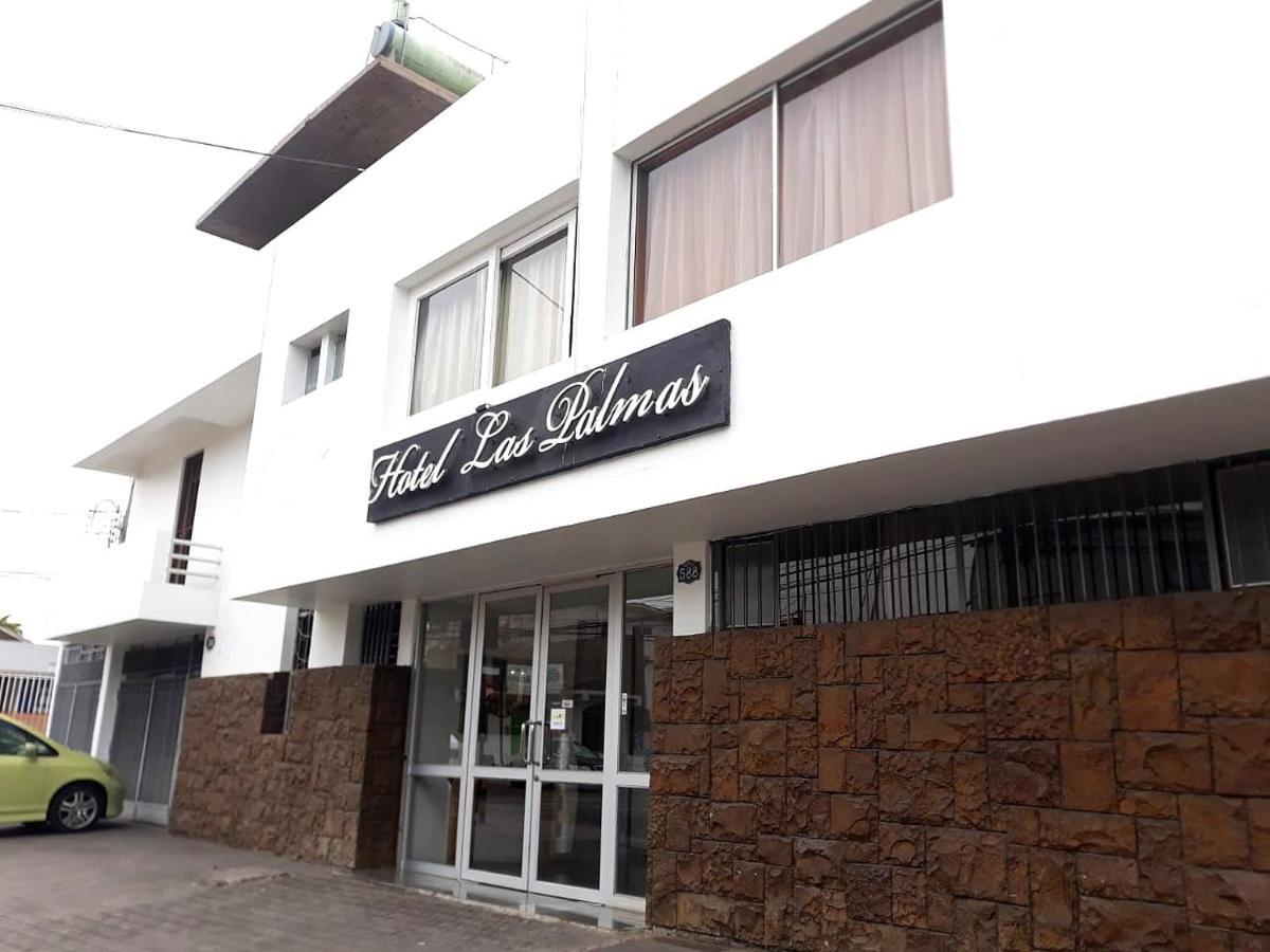 Hotel Las Palmas Arica Zewnętrze zdjęcie